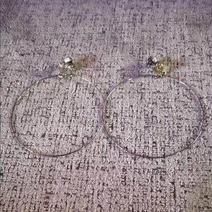 Silver Hoop Earrings